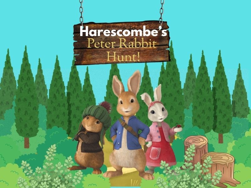 Peter Rabbit Hunt