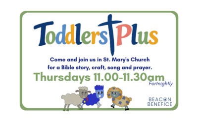 Toddlers Plus